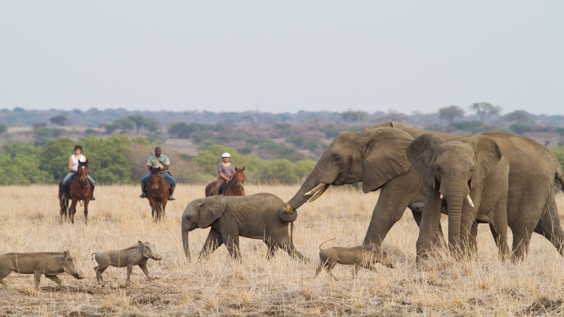 Mashatu Tented Camp