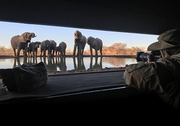 Mashatu Tented Camp